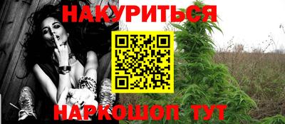 крисы Коммунар