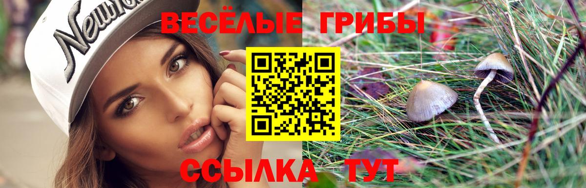 Галлюциногенные грибы прущие грибы  Вход с VPN  где купить наркоту  Котовск  Псилоцибиновые грибы прущие грибы 