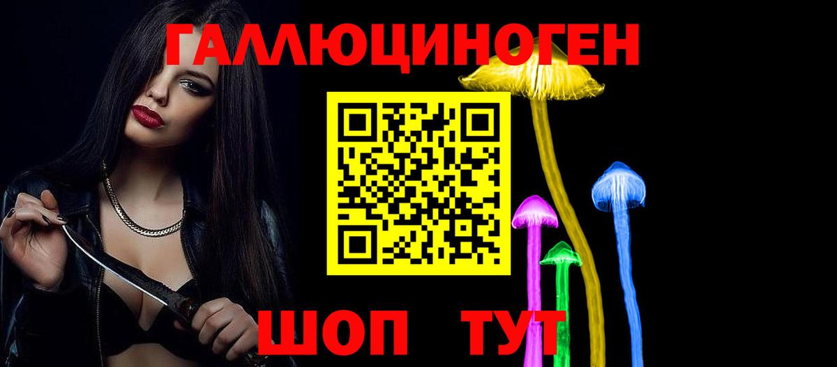 Псилоцибиновые грибы GOLDEN TEACHER Котовск